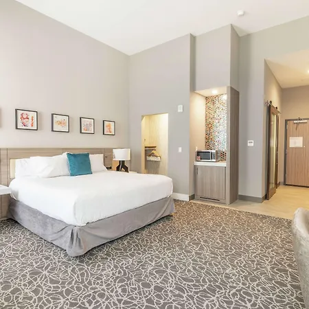 Hilton Garden Inn Wichita Downtown, Ks-3