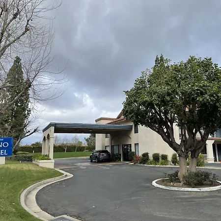 Chino Motel-2