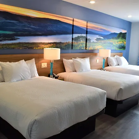 Days Inn & Suites By Wyndham Downtown/University Of Houston-2
