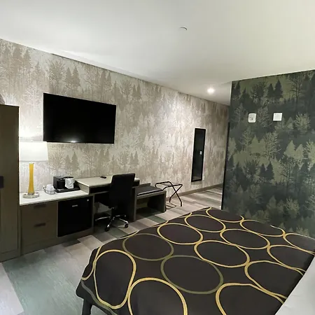 Super 8 By Wyndham Bronx Near Botanical Garden-3