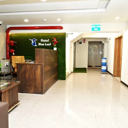 Hotel Blue Leaf-3