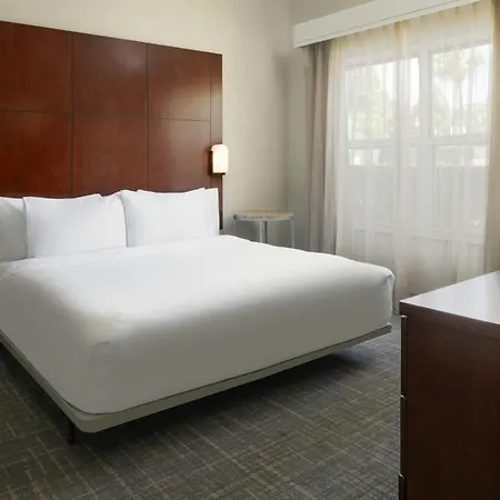 Residence Inn By Marriot Clearwater Downtown-3