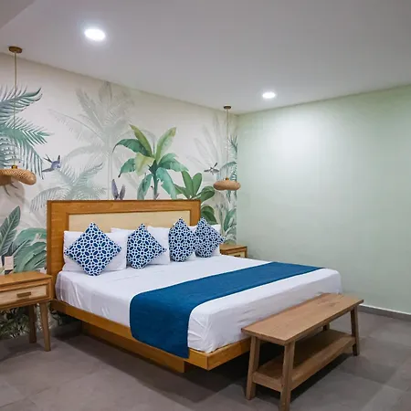 La Iguana Vallarta Lgbt Adults Only - Romantic Zone - Party Clubbing Street-2