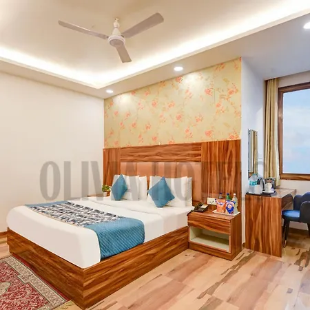 Olivia Hotels - Delhi Airport-2