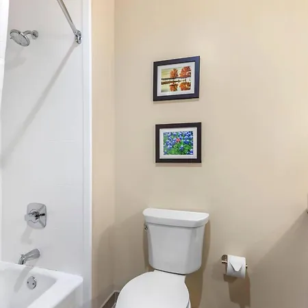 Comfort Suites San Antonio Ft Sam Houston-Sammc Area-3