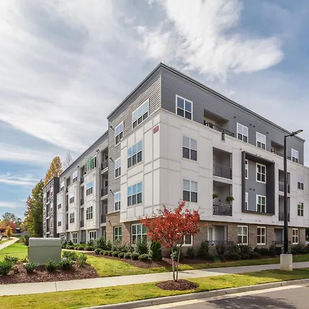Kasa Freemorewest Charlotte-3