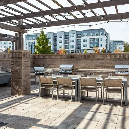 Kasa Freemorewest Charlotte-2