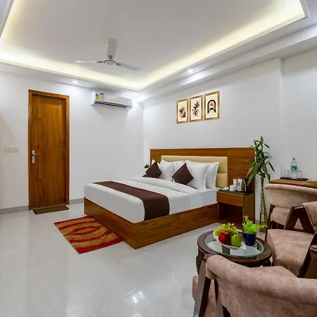 Hotel Sr Palace, 5 Mins From Igi & Domestic Airport Delhi-2