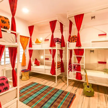 Gostops Lite Jaipur-3