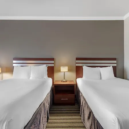 Best Western Plus Austin Airport Inn & Suites-2