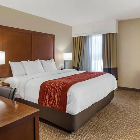 Comfort Inn & Suites Little Rock Airport-3