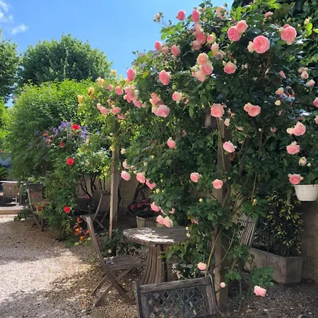 Nice Garden Hotel-3