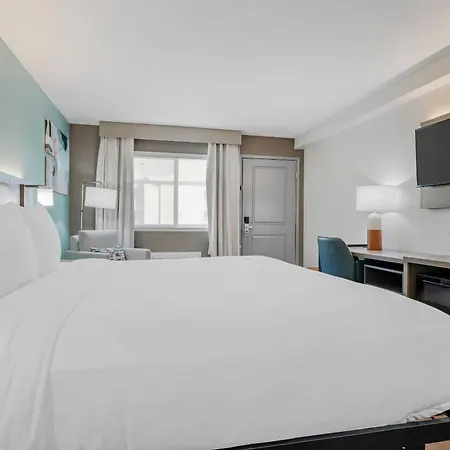 Comfort Inn Sea World Area-3