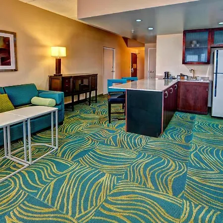 Springhill Suites Norfolk Old Dominion University-3