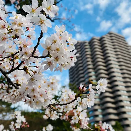 Tokyo Marriott Hotel-3