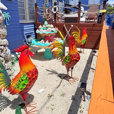 Blue Little Havana-2