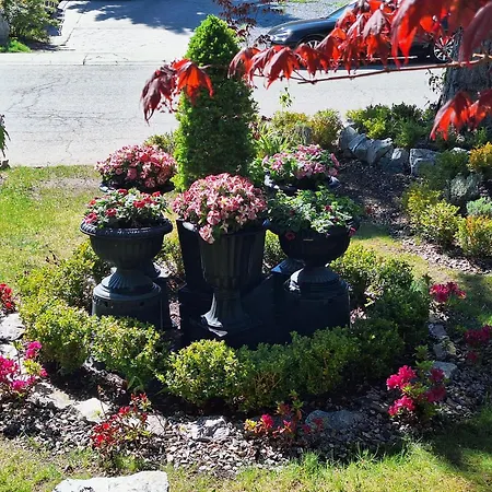 Villa Bellissimo Frantallia - Luxury B&B Galleriseum-3