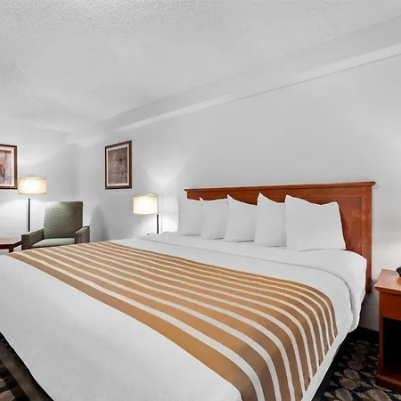 Best Western Vista Inn At The Airport-3