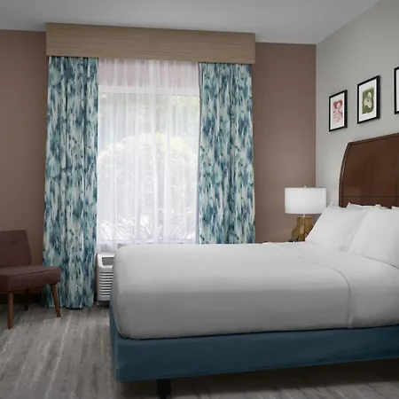 Hilton Garden Inn Greensboro Airport - Newly Renovated!-3