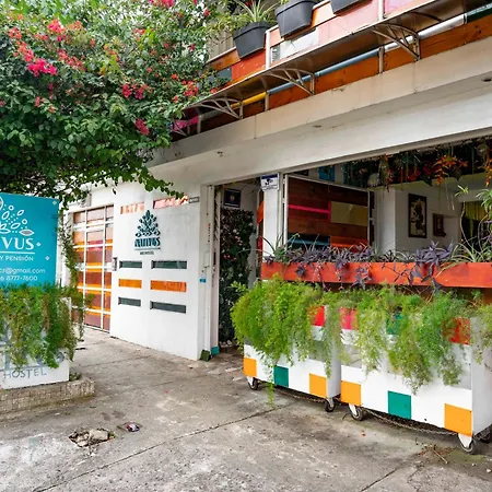 Nativus Art Hostel-3