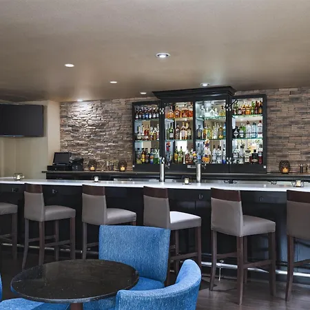 Hilton Garden Inn Dfw Airport South-3