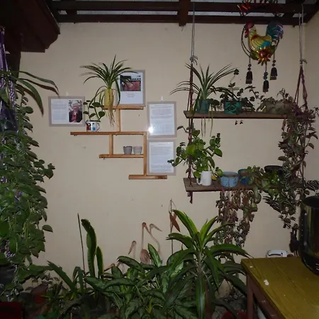 Hostel Casa Ridgway-2