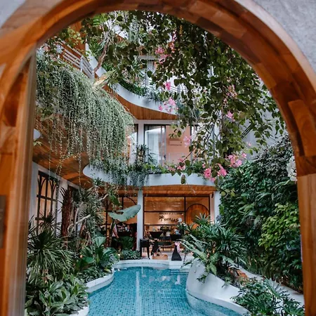 Cityhouse Vibe City Oasis-2