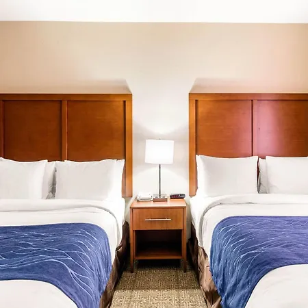 Comfort Suites Humble Bush Intercontinental Airport-2