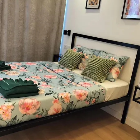 Figueira Guest House In Beira Minho-2