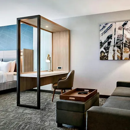 Springhill Suites By Marriott Charlotte Arrowood-3