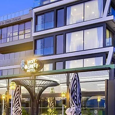 Lucky Monkey Hotel-2