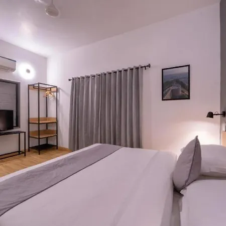 Loft 24-3