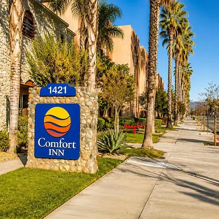 Comfort Inn Pomona Near Fairplex-3