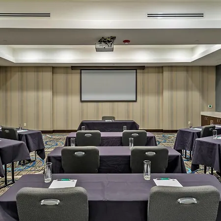 Holiday Inn Austin Airport By Ihg-2