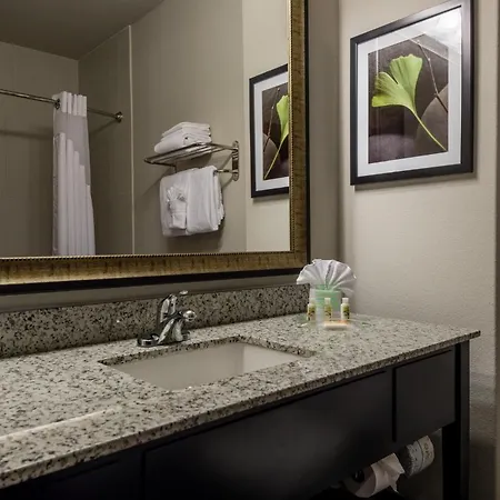 Holiday Inn Austin Airport By Ihg-3