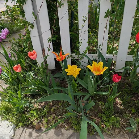 Delano Bed And Breakfast-2