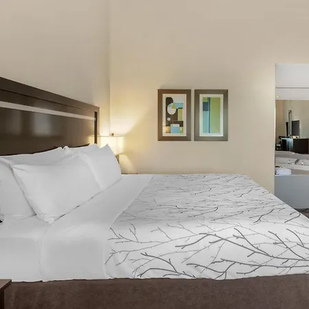 Best Western Plus Travel Hotel Toronto Airport-3