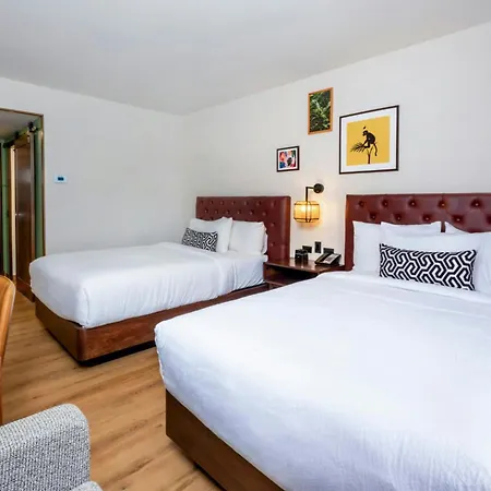 Four Points By Sheraton San Jose Costa Rica-3