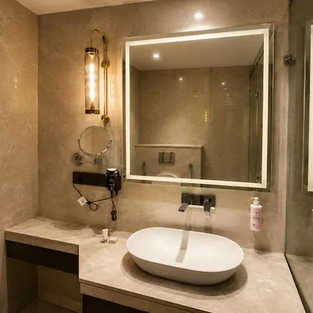 Hotel Rajshree & Spa-3