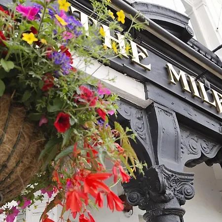 The Milford Arms-3