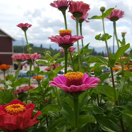 Hillcrest Farm Market B&B-2