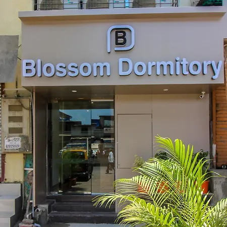 Blossom Dormitory For Male And Female-2