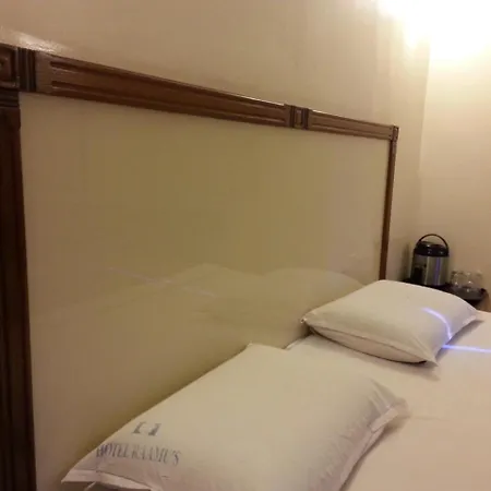 Hotel Raamus-2