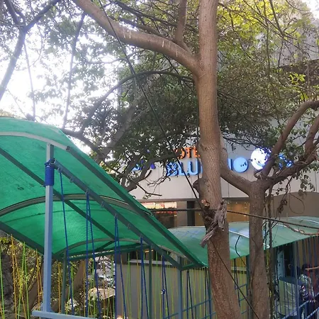 Treebo Blue Moon Powai-2