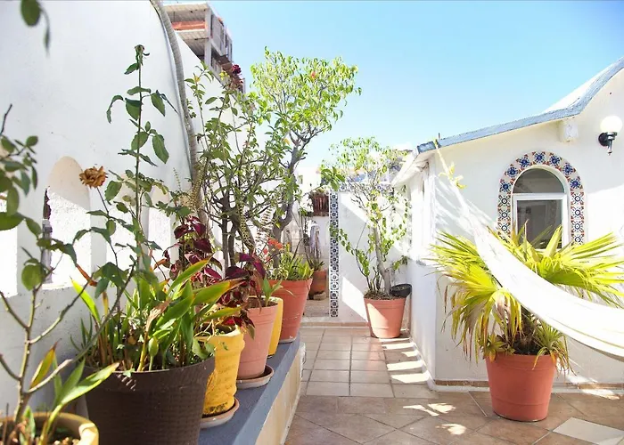 Alexandross Hostel Puerto Vallarta