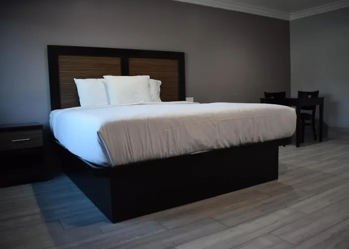 Willow Tree Inn & Suites Los Angeles