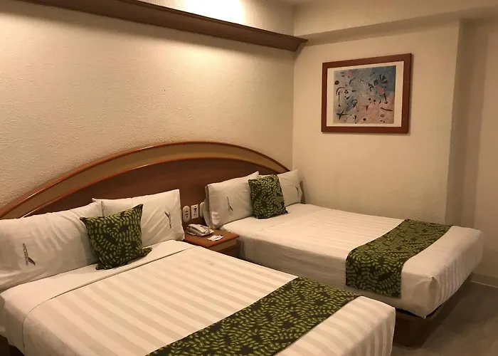 Hotel Aeropuerto Mexico City