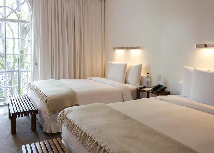 Condesa Df, Mexico City, A Member Of Design Hotels