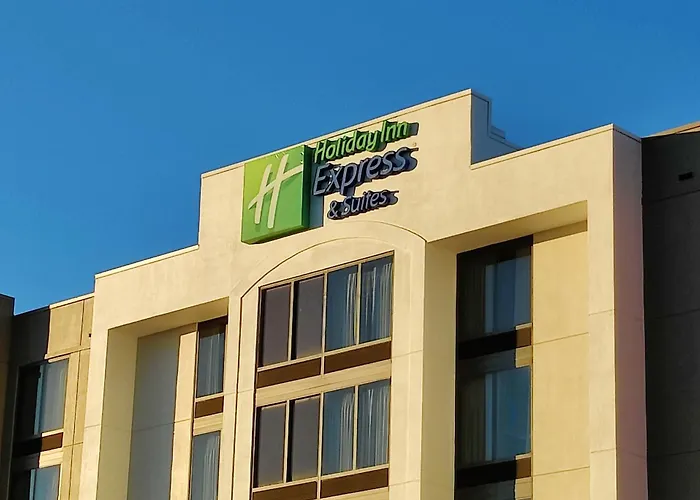 Holiday Inn Express Hotel & Suites Dallas Fort Worth Airport South By Ihg Irving