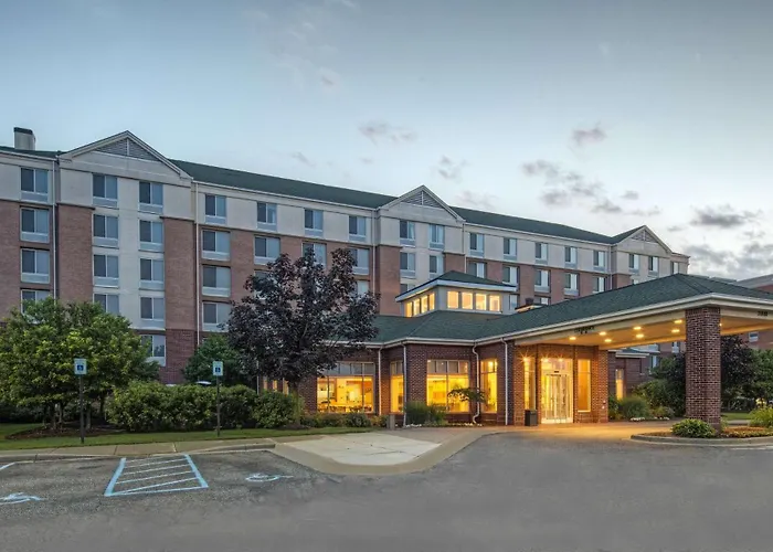 Hilton Garden Inn Detroit Metro Airport Romulus